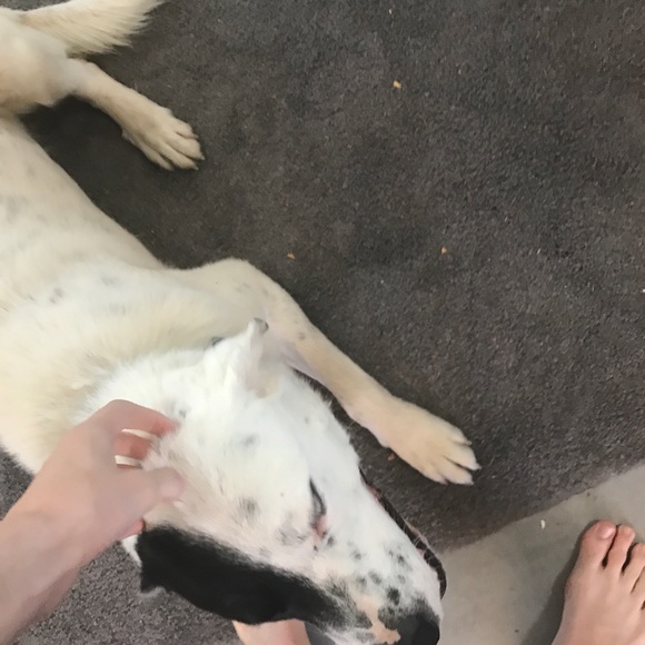 Meet your Posher, Sean - Picture 1 of 1